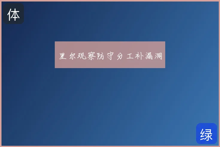 里尔观察防守分工补漏洞